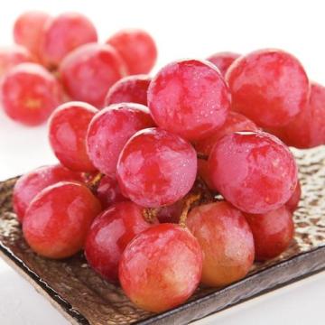 fresh good taste red grape for export