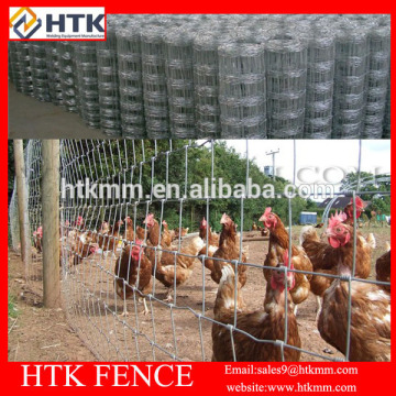 Gold Supplier Chicken Fence/Small Animal Farm Fence