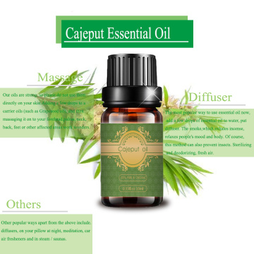 Organic Certified Cajeput Essential Oil for bulk purchase