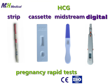 Urine Pregnancy Test Human Chorionic Gonadotropin HCG test