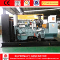 Low Cost 100KW methaan Gas Generator uitvoeren
