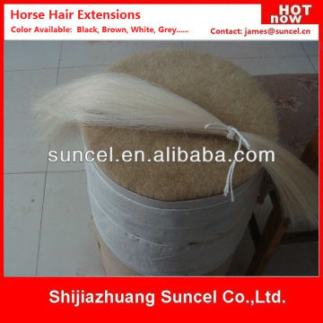 Horse Hair for string instrument