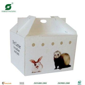 MEDIUM SIZE CAT CARRIER PAPER BOX