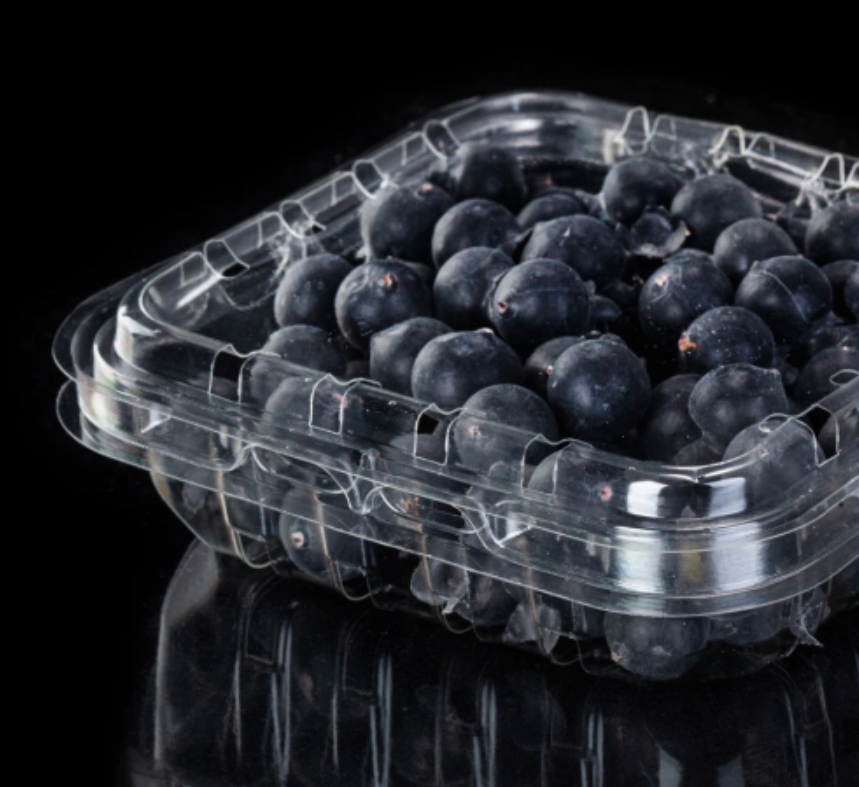 Visual Blueberry Clamshell-Verpackungsbox