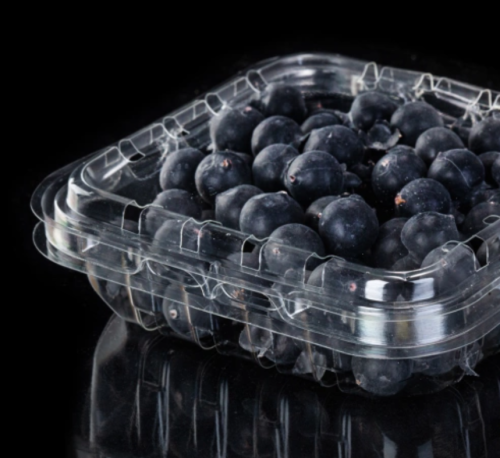 Visual Blueberry Clamshell Packaging Box