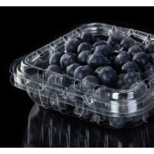 Упаковочная коробка Visual Blueberry Clamshell