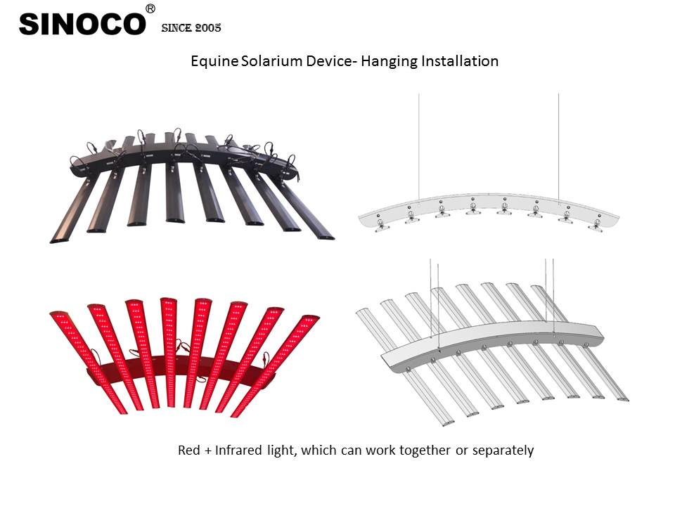 Equine solarium device Canine Physiotherapy Equipment horse wraps pads red and infrared light goods