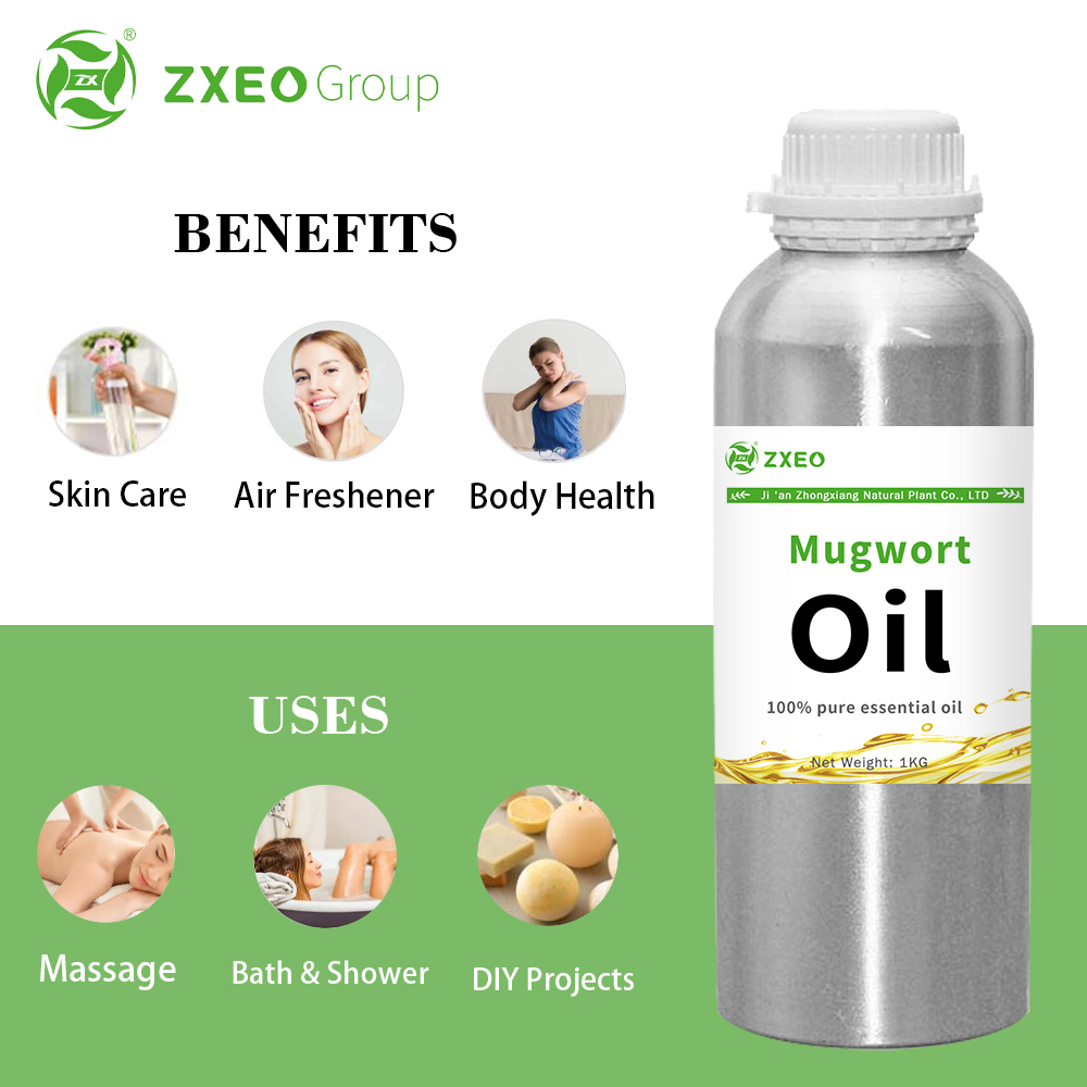 Pure Natural Plant Blugwort Oil for Body Health