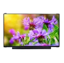 Ronen Medical Instruments Display Laptop Screen 13.3inch LCD Display Laptop LCD