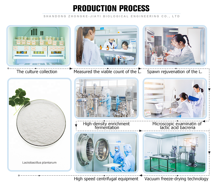 factory wholesales lifeworth natural Anti-allergy PAA probiotics powder from Zhongke-Jiayi