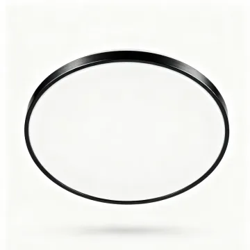 Minimalist LED Ceiling Light