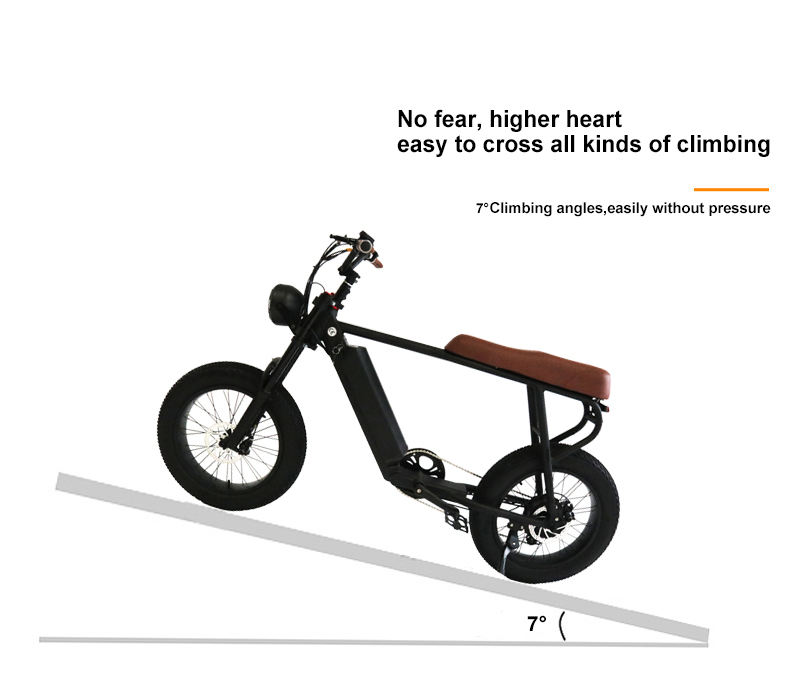 off road electric bicycle