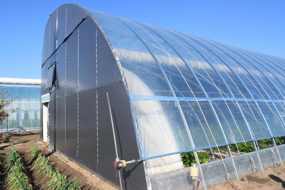 Greenhouses kune zvidyarwa