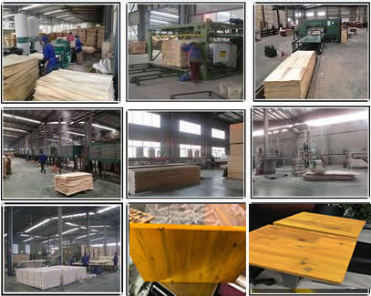 China manufacture 27mm 3 ply shuttering boards with high quality