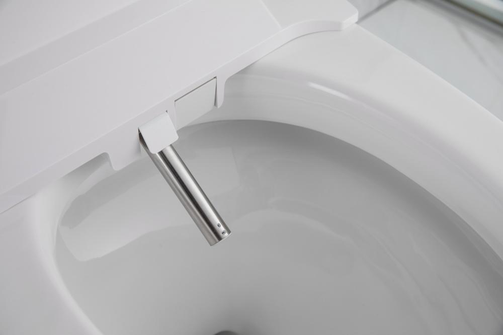 2206 7 Smart Toilet