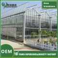 Glass Greenhouse Without Shade Systems
