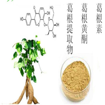 Pueraria flavonoids extract powder kudzu Root Extract Puerarin