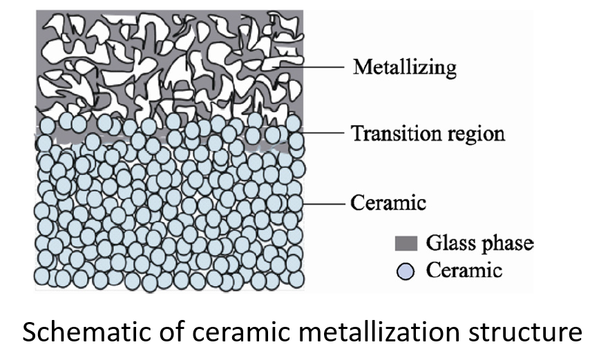 Microstructure of Ceramic Metallization