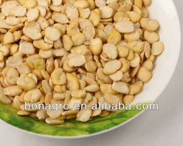 chinese dried Split broad bean