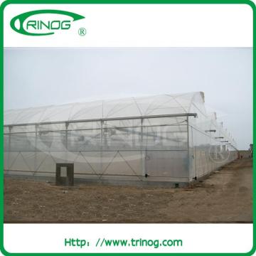 Hot galvanized steel frame greenhouse for greenhouse growing