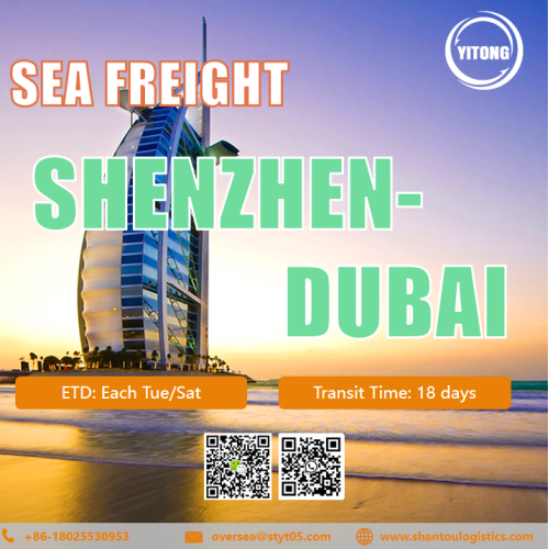 Frete marinho internacional de Shenzhen a Dubai Emirados Árabes Unidos
