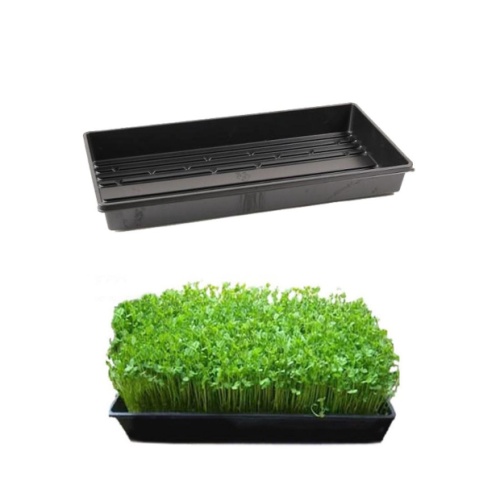 Hydroponics Seedling Germination Tray Without Holes