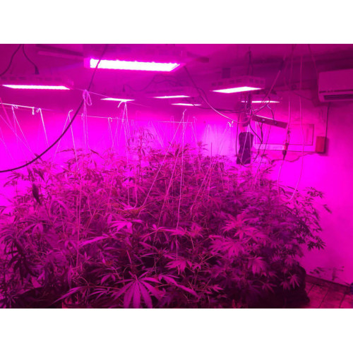 Full Spectrum Plant Grow Slim LED Grow Light