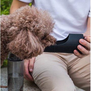 Botella de agua humana y perro