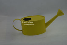 indoor Creek Designs 1-Gallon yellow Watering Can