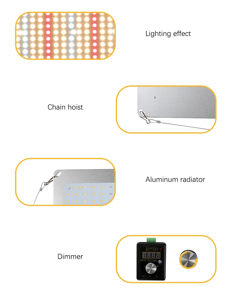 6000K 600W 3 Heads LED Grow Light for Indoor Plants Growing Lamp