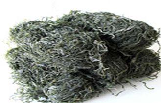 OEM Organic Roasted Seasoned Seaweed / Dry kelp Seaweed , H