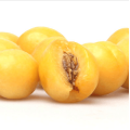 Egyptian best taste fresh apricot for sale