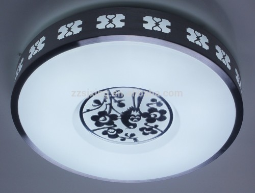 Outdoor wall led ceiling mount light