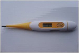 waterproof digital thermometer