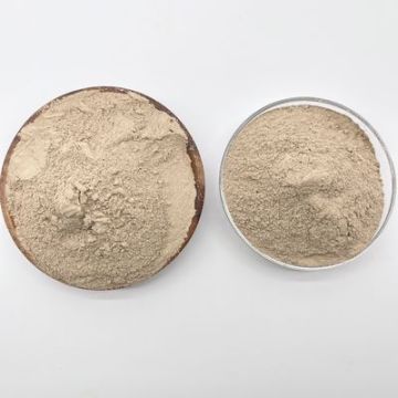 Bio Bacteria Effective Water Cleaning Aerobic bacterial