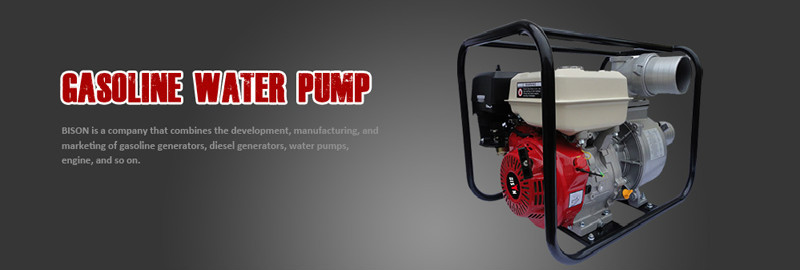 Chinese Power Gasoline Engine Water Pump 3 Inch Air Cooled Motor Pump Gasoline