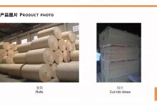 Recycle Bagasse Pulp Making Machine