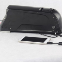 Dolphin battery pack 48v 11.6ah ebike battery
