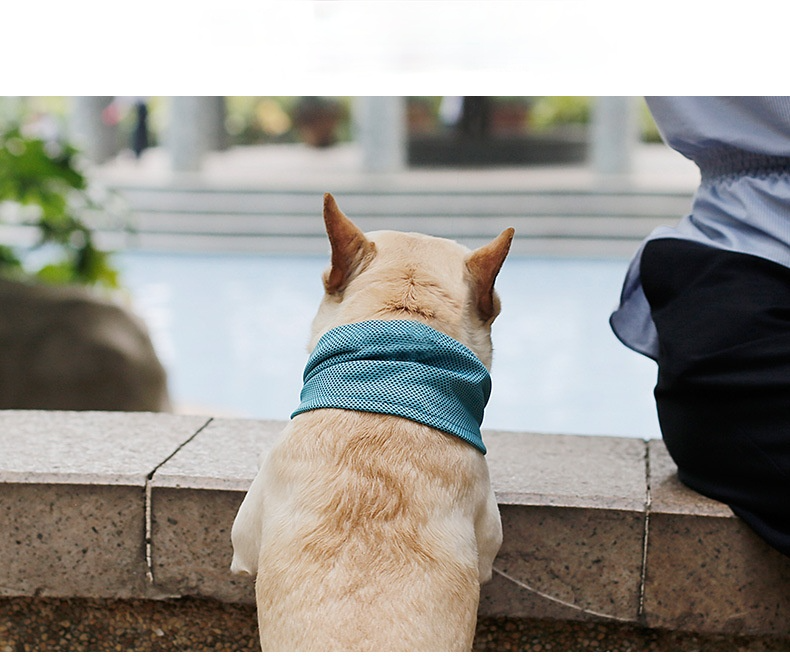 Pet Summer Cold Neck Scarf French Bulldog Dog Cat Cooling Scarf Triangle Scarf Ice Towel Wholesale