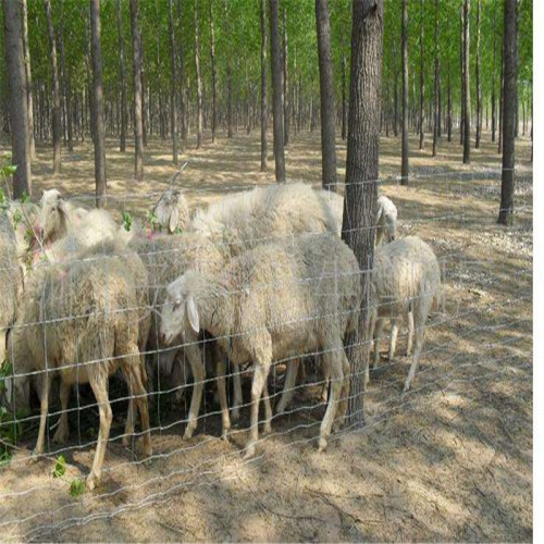 農場の柵のための草地の柵