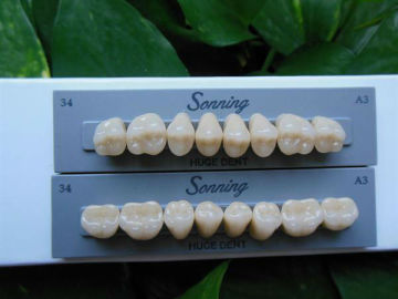 artificial acrylic teeth