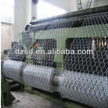 galvanized hexagonal wire mesh/nettings