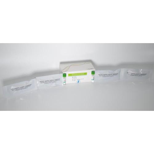 RSV Nucleic Acid Test Kit (PCR- fluorescence probe method)