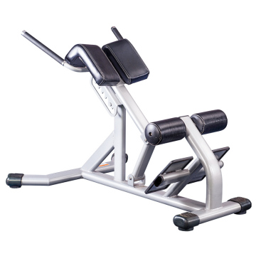 Ab Leg Strength Trainer Back Exercise Roman Chair