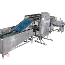 Automatic Soft Boiled Egg and Chicken Egg Sheller