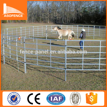 Heavy duty oval rails Cattle yard panel/swing gate livestock yard panel Australia standard