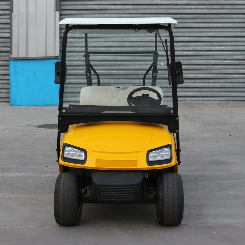 2020 Zhongyi New 2 Seats Mini Electric Cart with High Quality