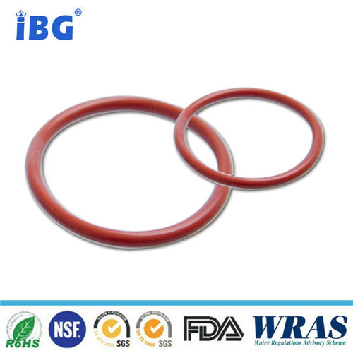 silicone o ring encapsulated