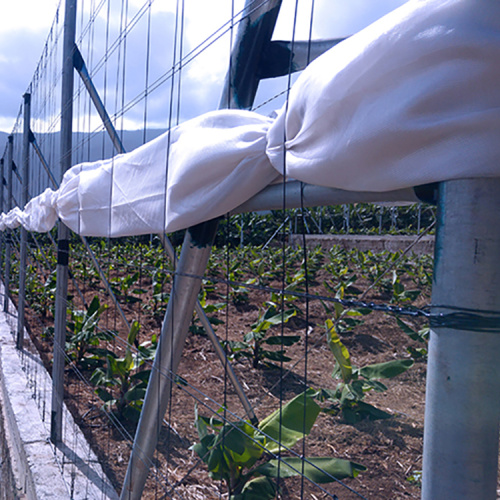 Single-Span Greenhouse Transparent/Black Polyester Wire