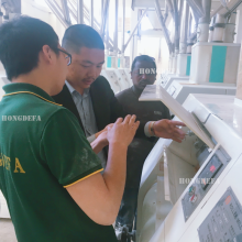 Fully Automatic Wheat Flour Milling Machine for Bread, Pasta, and Bakery